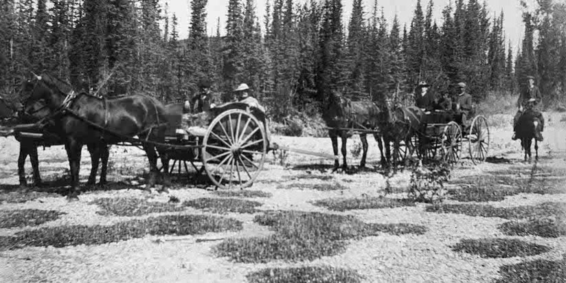 Prospecting for Land