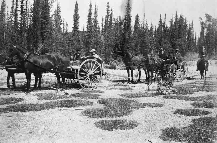 Prospecting for Land